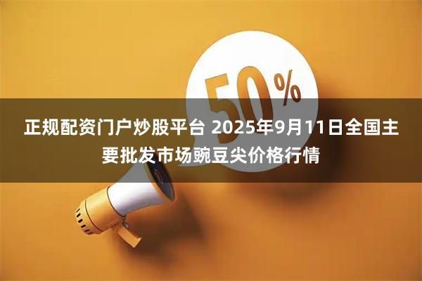 正规配资门户炒股平台 2025年9月11日全国主要批发市场豌豆尖价格行情