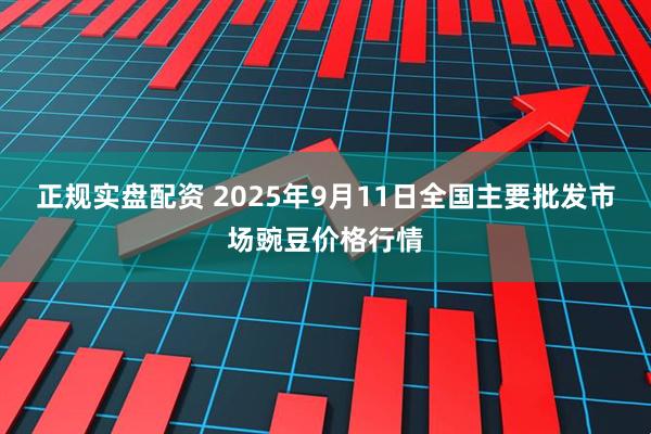 正规实盘配资 2025年9月11日全国主要批发市场豌豆价格行情