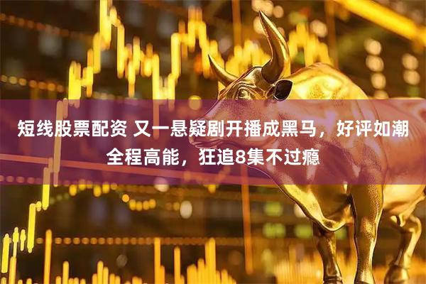 短线股票配资 又一悬疑剧开播成黑马，好评如潮全程高能，狂追8集不过瘾
